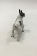 Royal Copenhagen figur af Boston terrier No 1457 - Danam Antik