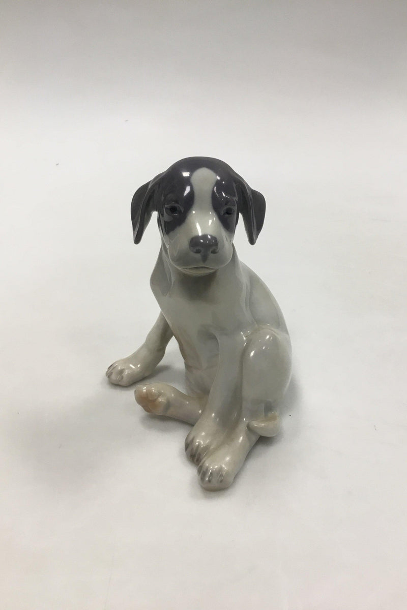 Royal Copenhagen Figur Pointer Hvalp No 206 - Danam Antik