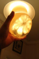 Bing & Grøndahl Art Nouveau Lampette No 80 - Danam Antik