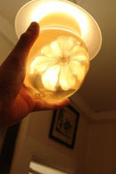 Bing & Grøndahl Art Nouveau Lampette No 80 - Danam Antik