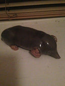 Royal Copenhagen Figur af muldvarp No 1286 - Danam Antik