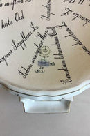 Royal Copenhagen Flora Danica Iskumme No 20/3531 - Danam Antik