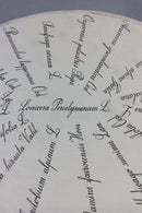 Royal Copenhagen Flora Danica Iskumme No 20/3531 - Danam Antik