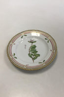 Royal Copenhagen Flora Danica Sæt til 12 personer 60 dele - Danam Antik