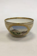 Royal Copenhagen Tete a Tete service fra 1860 - Danam Antik